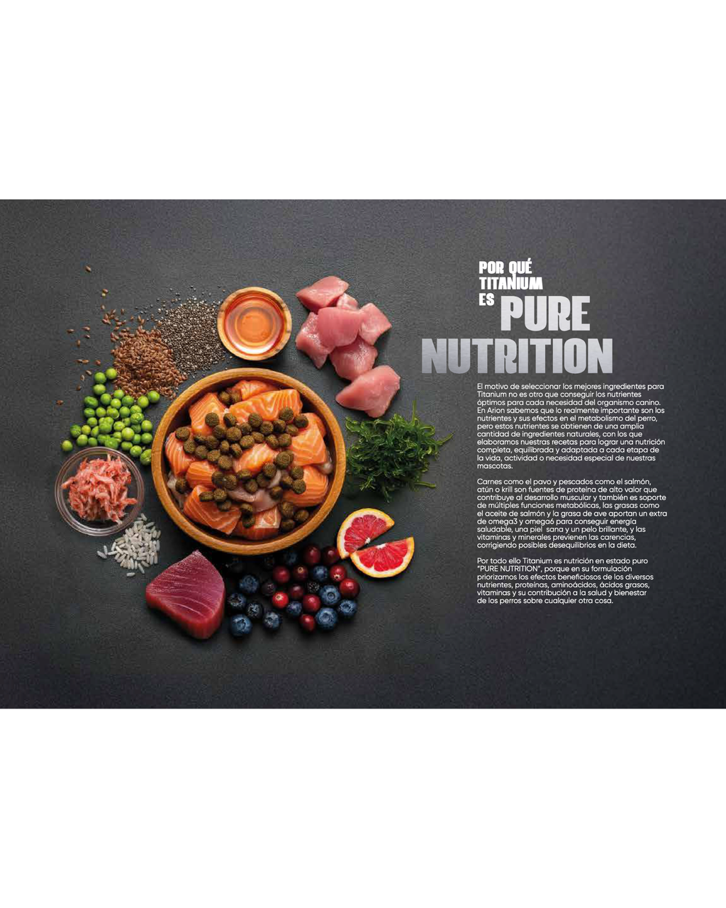 Arion Titanium Coat - 2 KG