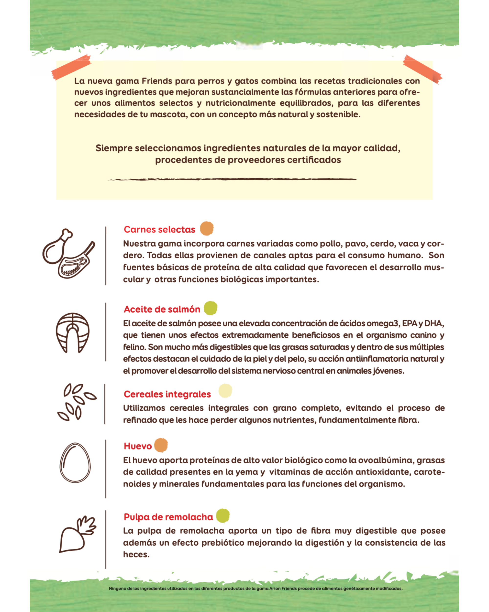 Arion Friends Junior - 14 kg