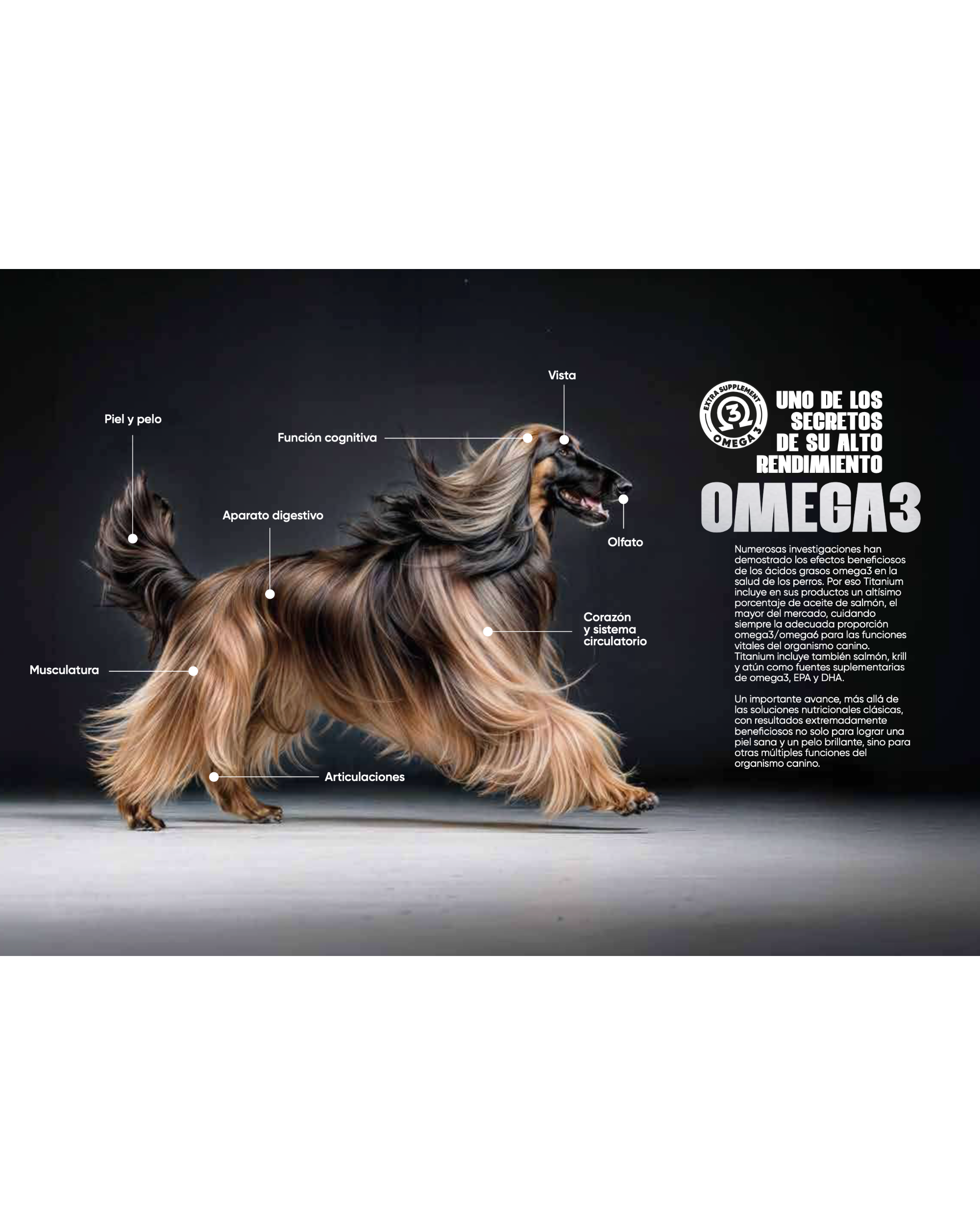 Arion Titanium Growth - 15 kg