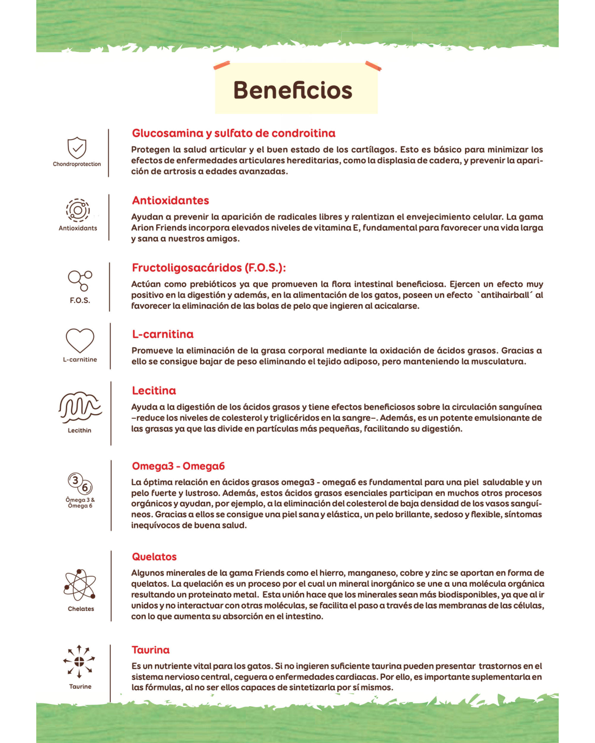 Arion Friends Junior - 14 kg