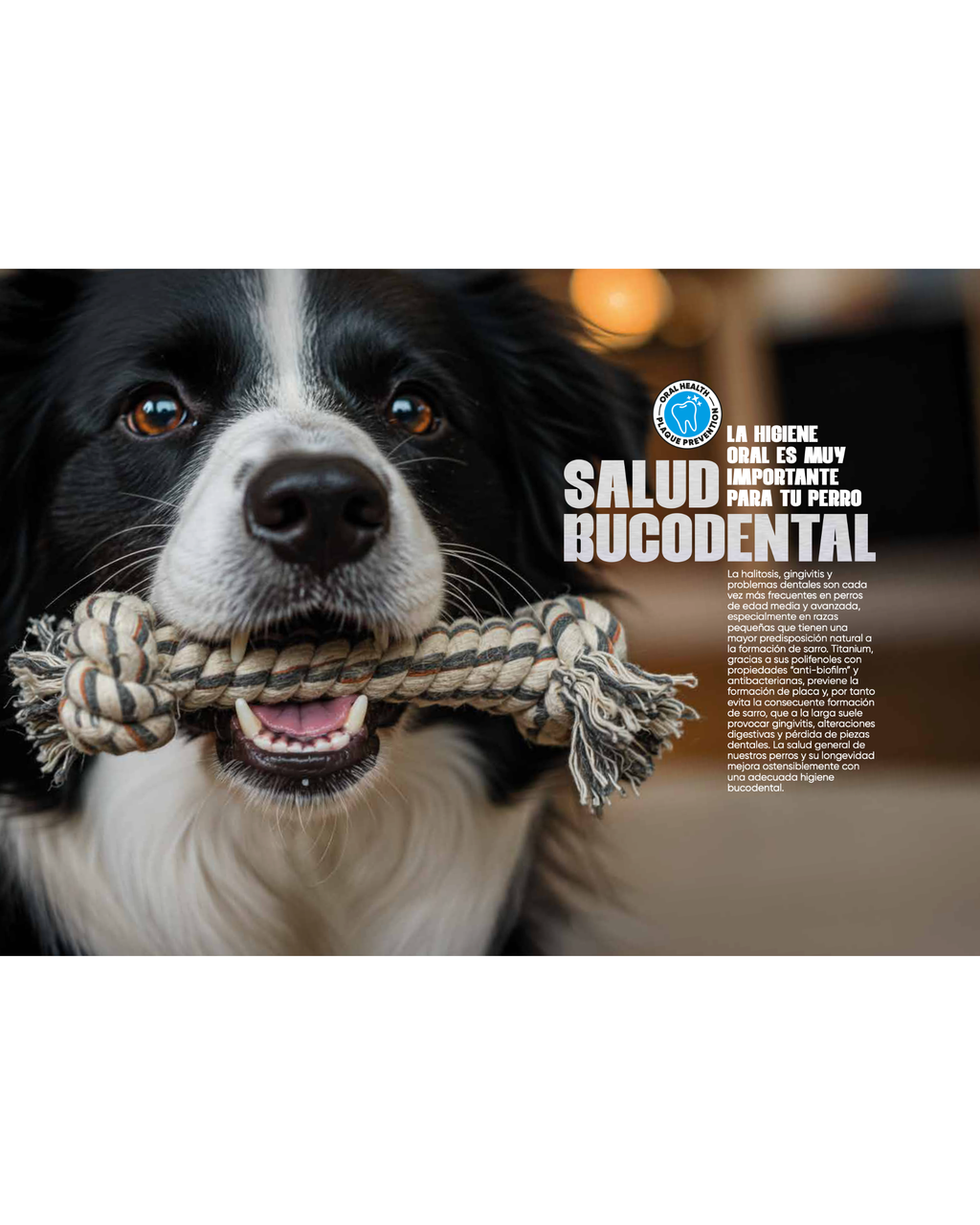 Arion Titanium Coat - 2 KG