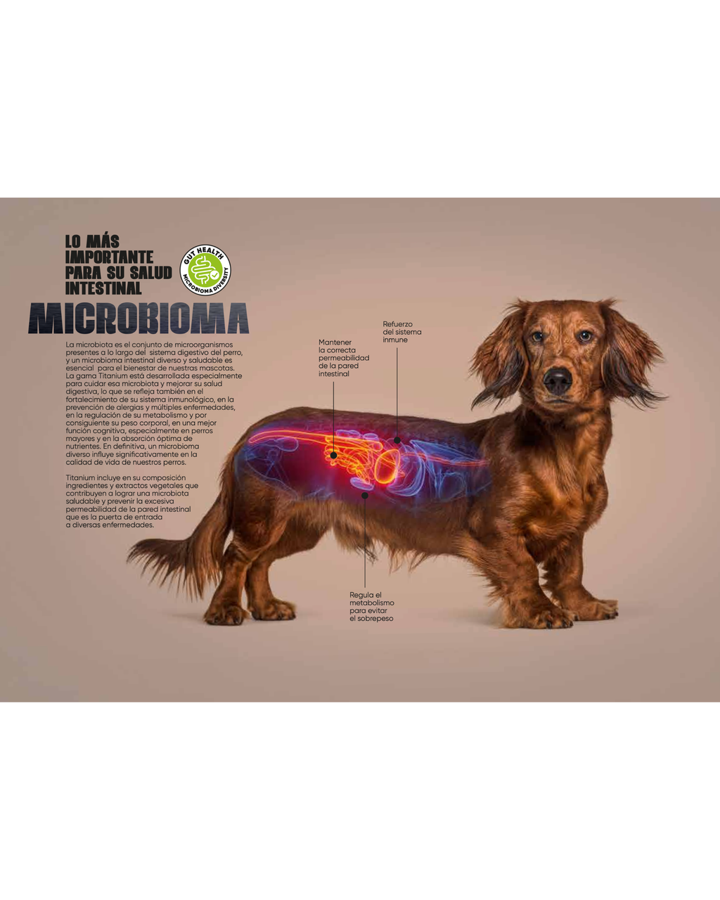 Arion Titanium Coat - 2 KG