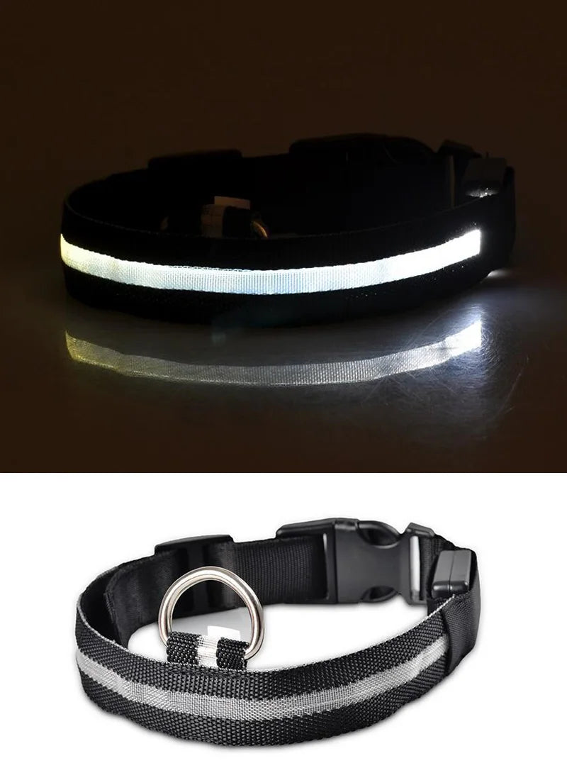 Collar Luminoso | NightGlow™ LED Safety