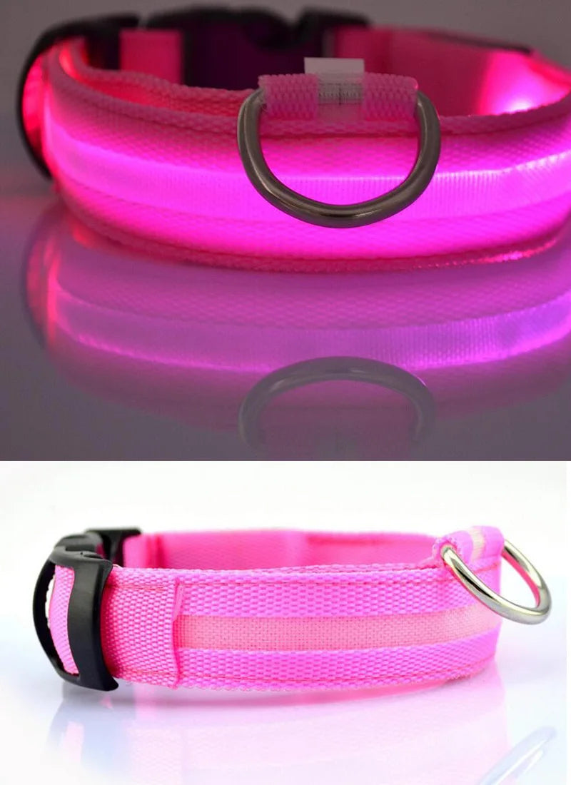 Collar Luminoso | NightGlow™ LED Safety