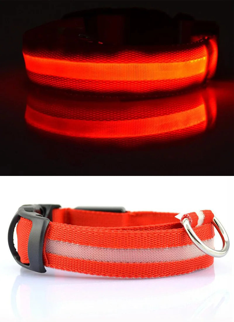 Collar Luminoso | NightGlow™ LED Safety