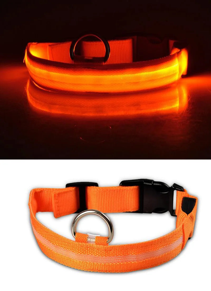 Collar Luminoso | NightGlow™ LED Safety