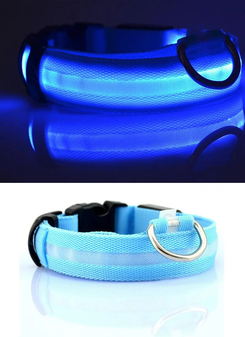 Collar Luminoso | NightGlow™ LED Safety