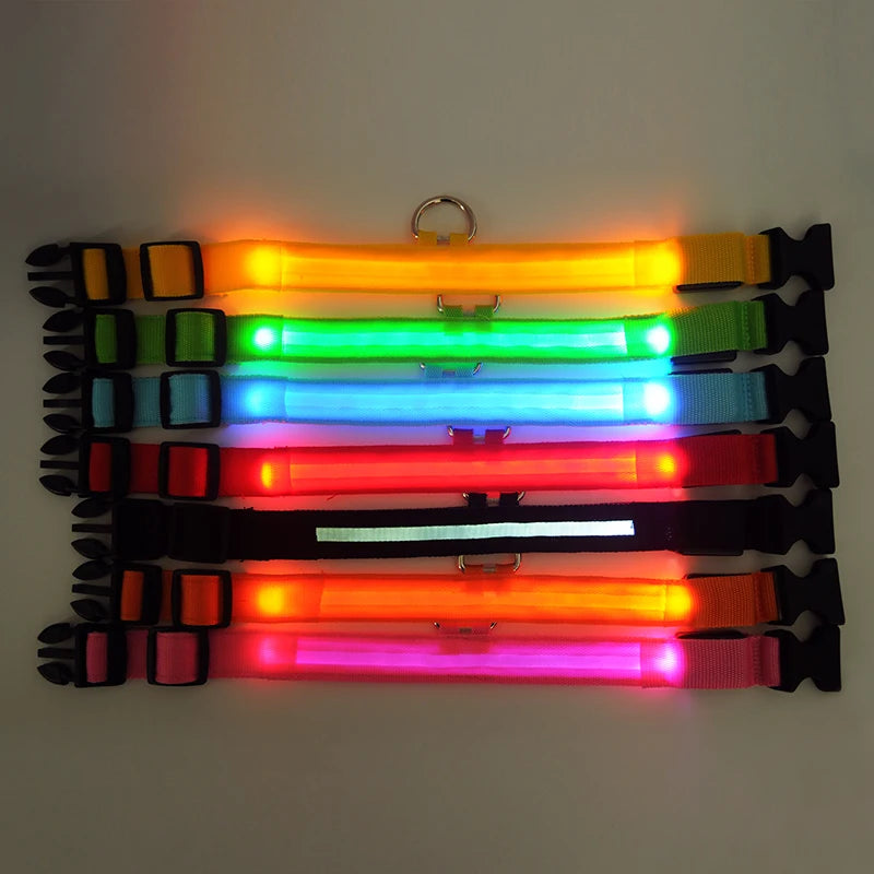 Collar Luminoso | NightGlow™ LED Safety