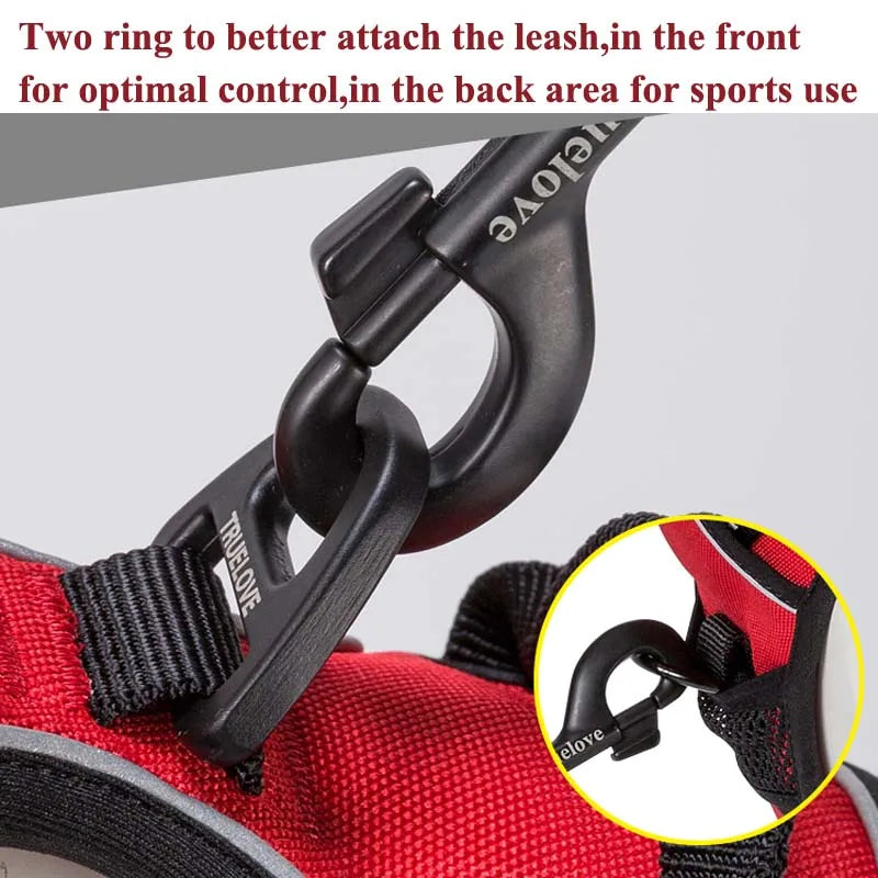 Arnés Anti-Tirones Profesional | TrueGuardian™ Tactical