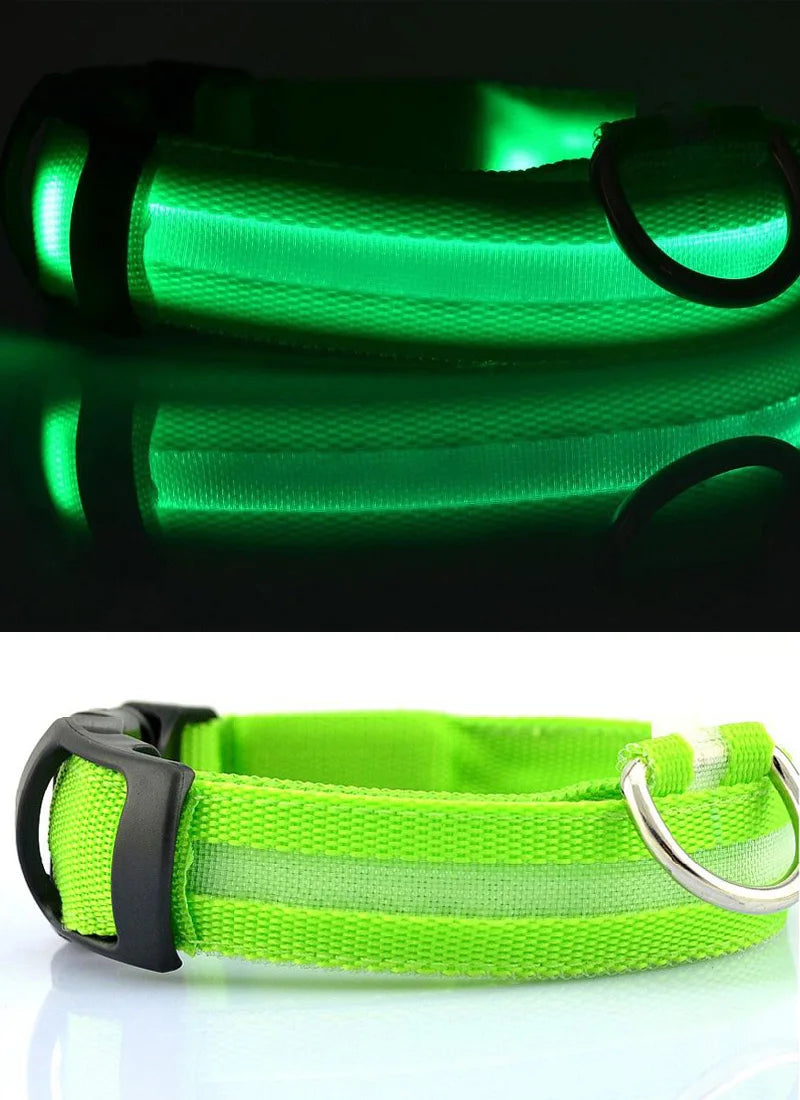 Collar Luminoso | NightGlow™ LED Safety