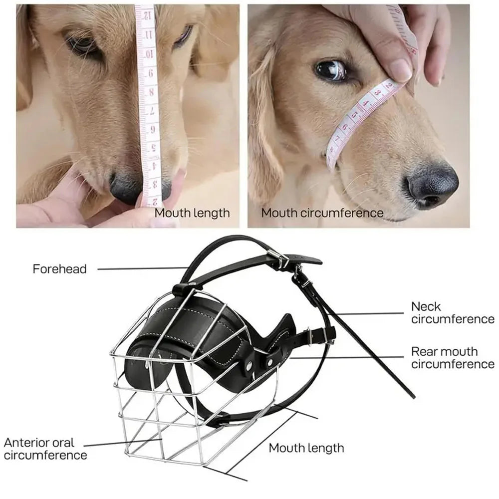 Bozal | FerrumGuard™ Control