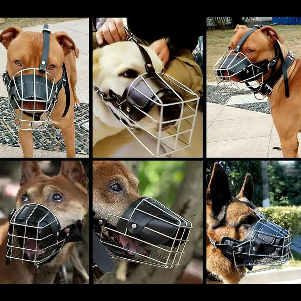 Bozal | FerrumGuard™ Control