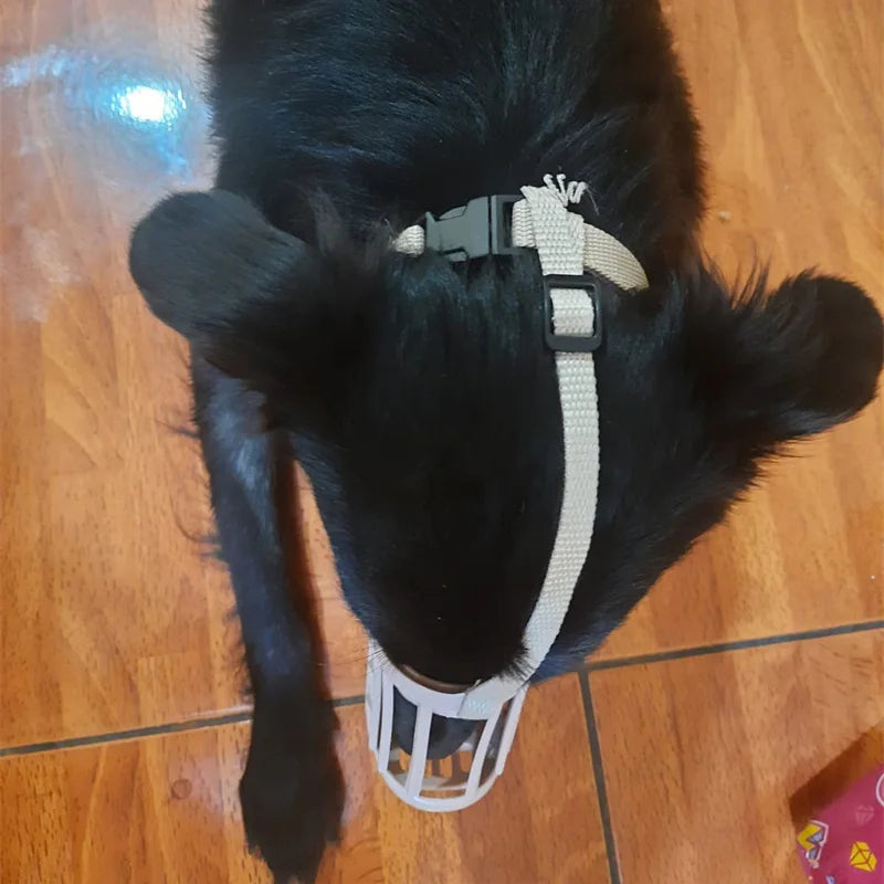 Bozal | AUREX™ Forage Guard