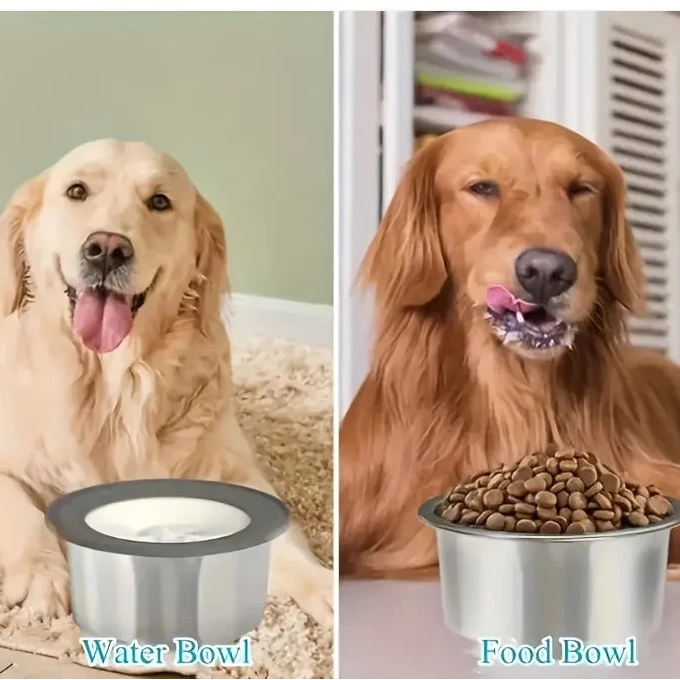 Bebedero Anti-Derrames | SteelSip™ DryFlow