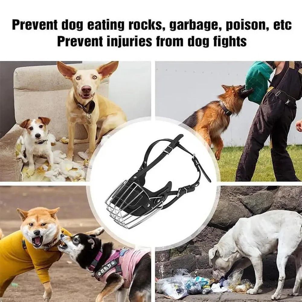 Bozal | FerrumGuard™ Control