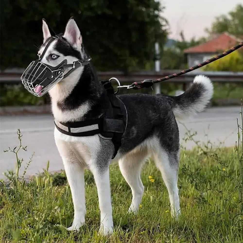 Bozal | FerrumGuard™ Control