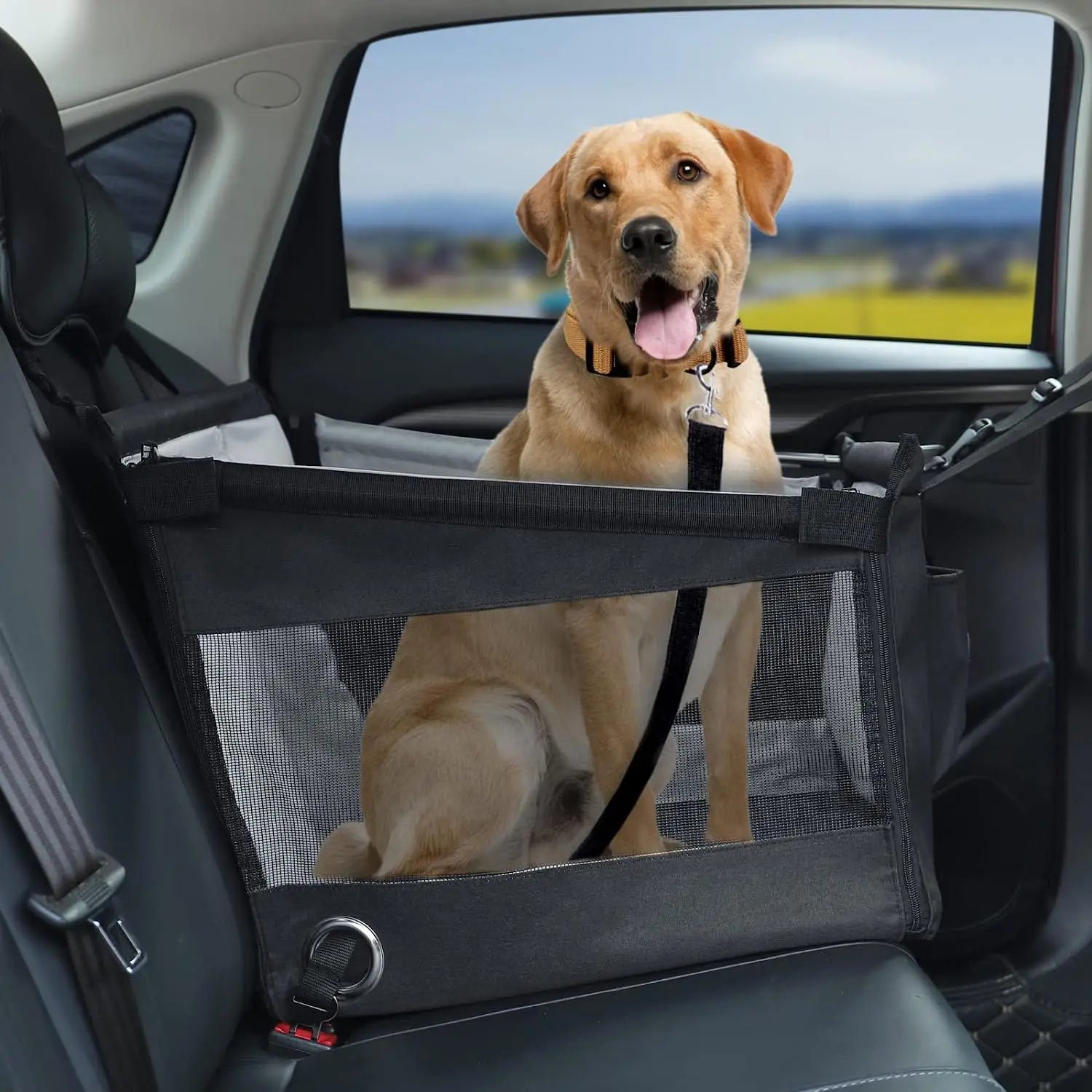 DUTRIEUX SecureRide™ Pet Car